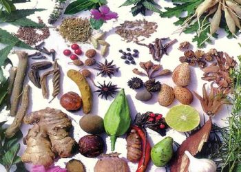 گیاهان دارویی، قاتل چربی خون بالا