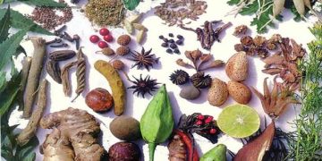 گیاهان دارویی، قاتل چربی خون بالا