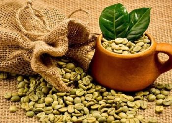 سقف ارزی قیمت جدید قهوه خام مشخص شد