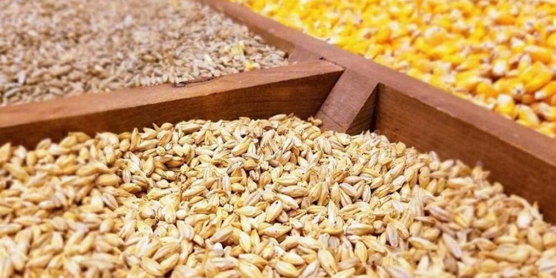 نهاده به میزان کافی در بنادر موجود است