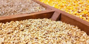 نهاده به میزان کافی در بنادر موجود است