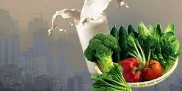 تغذیه مناسب در زمان آلودگی هوا:چگونه از بدن خود در برابر آلاینده ها محافظت کنیم