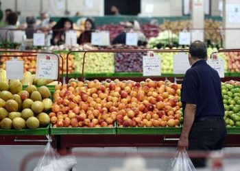 تصویب طرح کنترل کیفیت محصولات کشاورزی و فرآورده‌های غذایی در میادین تره‌بار شهرداری تهران/ ممنوعیت ورود ۲۴ محصول به میادین تا رفع ایرادات