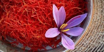 اعطای ۳۰ میلیارد تومان تسهیلات برای ایجاد انبار بورس و بستهبندی زعفران در خراسان شمالی