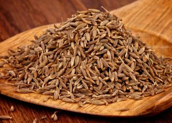 یک قاشق زیره سیاه در روز،راهی طبیعی برای کاهش کلسترول