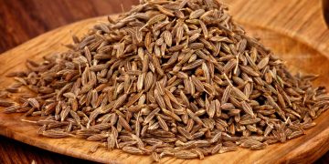 یک قاشق زیره سیاه در روز،راهی طبیعی برای کاهش کلسترول