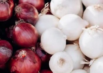 آیا پیاز سفید و قرمز ارزش غذایی یکسانی دارند؟