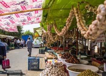 رئیس سازمان جهاد کشاورزی البرز: روستا-بازارها باعث کاهش قیمت محصولات کشاورزی می‌شود