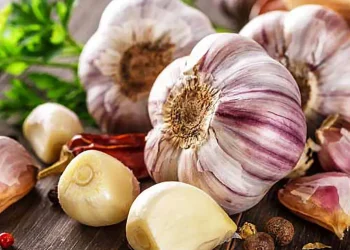 واقعیت مصرف سیر خام:آیا سیر باعث لاغری می شود؟