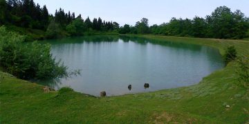 فرماندار:هزاران هکتار از اراضی کشاورزی بندرانزلی در وضعیت قرمز قرار دارد