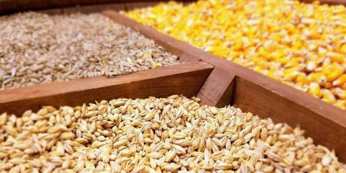 ۵ میلیون تن انواع نهاده دامی در مبادی شمالی و جنوبی کشور موجود است