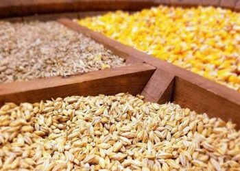 ۵ میلیون تن انواع نهاده دامی در مبادی شمالی و جنوبی کشور موجود است