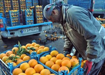 صادرات ۶۱ هزار تن ترهبار از مرز مهران