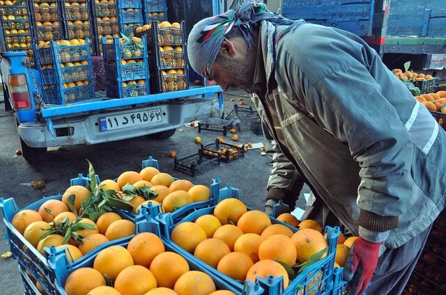 صادرات ۶۱ هزار تن ترهبار از مرز مهران