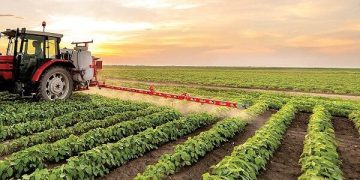 پیوند نوآوری و صنعت در مسیر توسعه صنایع تبدیلی کشاورزی