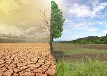 ۵۵ درصد اراضی کشاورزی کمتر از یک درصد ماده آلی خاک دارند