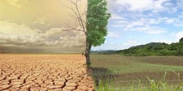 ۵۵ درصد اراضی کشاورزی کمتر از یک درصد ماده آلی خاک دارند