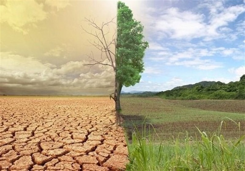 ۵۵ درصد اراضی کشاورزی کمتر از یک درصد ماده آلی خاک دارند