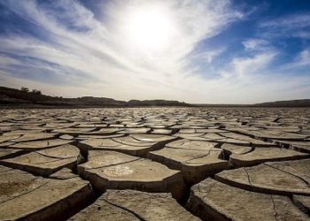 ۱۱ درصد مساحت کشور به اراضی کشاورزی اختصاص دارد