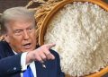 تعرفههای جدید ترامپ علیه برنج هندی