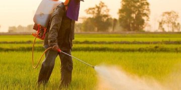 خطرات گسترده یک قارچ‌کش پرمصرف در کشاورزی