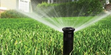 آموزش تغذیه گندم آبی؛ با تمرکز بر نوآوری و افزایش بهره‌وری در دهلران