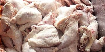 لزوم توسعه صادرات مرغ و تخممرغ خراسان جنوبی به افغانستان