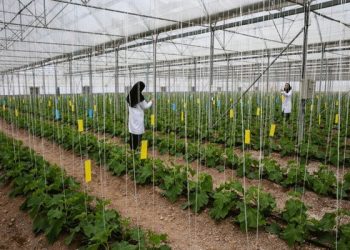 آمادگی مجلس جهت حمایت از پروژه‌های مرتبط با توسعه کشاورزی در سیستان و بلوچستان