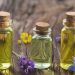 سطح زیر کشت گیاهان دارویی هرمزگان به ۸۰۰ هکتار افزایش می‌یابد