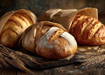 روش نگهداری سالم نان چیست؟