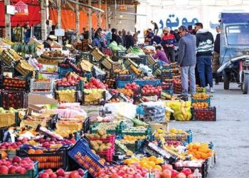 بازدید مدیرعامل سازمان تعاون روستایی ازوضعیت میوه شب یلدا در میدان بار