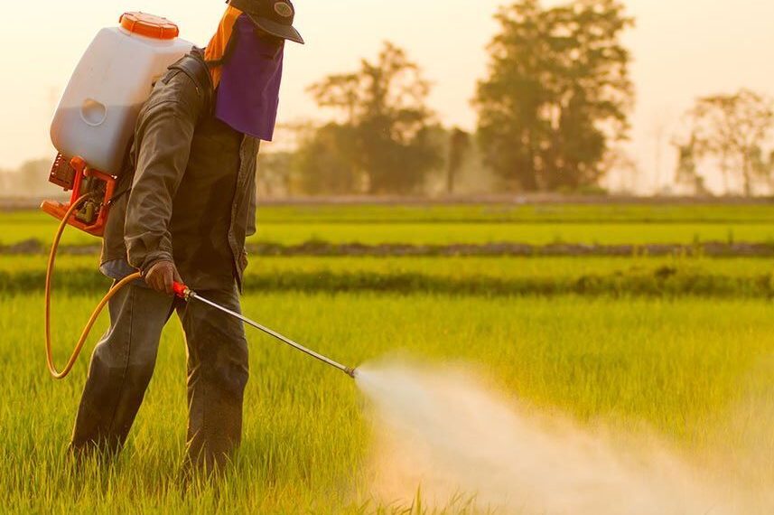 ۸ آفت‌کش گیاهی در مسیر تحقیق و توسعه/مبارزه با آفت《پسیل》در ۳ هزار هکتار باغات پسته