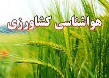 شرایط برای هرس درختان مثمر و غیرمثمر فراهم است