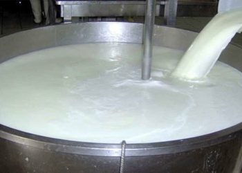 خرید حمایتی روزانه ۱۰ هزارتن شیرخام امری ضروری است