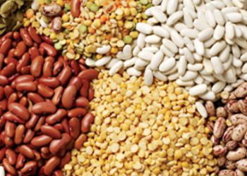 انجمن حبوبات: کالا را فروختیم، ارز نگرفتیم/ واردات باید فوری انجام شود