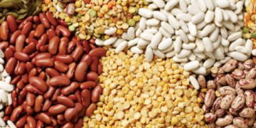 انجمن حبوبات: کالا را فروختیم، ارز نگرفتیم/ واردات باید فوری انجام شود