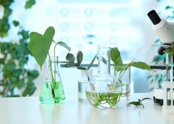 تدوین «نقشه راه جامع مشترک غذا و گیاهان دارویی» در دستور کار دو ستاد معاونت علمی