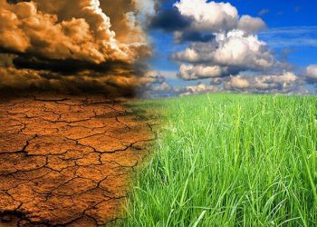 میزان آب تخصیصی بخش کشاورزی به ۵۱ میلیارد متر مکعب رسید