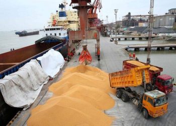 صدور مجوز مصرف ۲۲۳ هزار و ۵۰۰ تن گندم برای حمایت از تولید و تنظیم بازار