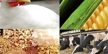 پرداخت تسهیلات ویژه بانک کشاورزی برای تولیدکنندگان بخش کشاورزی خراسان شمالی