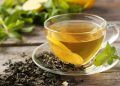 چای سبز؛گیاهی با خواص دارویی قابل توجه
