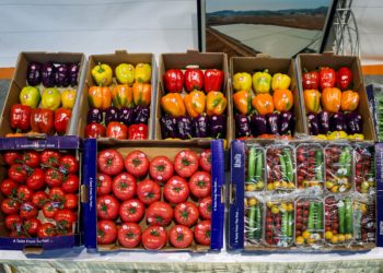 رکورد شکنی در تولید سبزی و صیفی ۲۶.۲ میلیون تن محصول