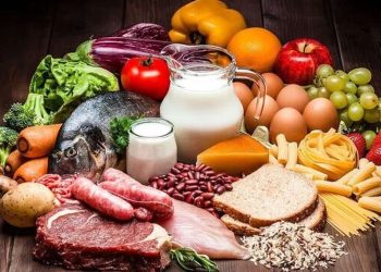 تغذیه سالم در کودکی؛ سرمایه‌گذاری برای آینده‌ای بهتر