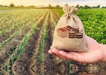 پوشش ۱۴۰ هزار اصفهانی در صندوق بیمه اجتماعی کشاورزان و روستاییان