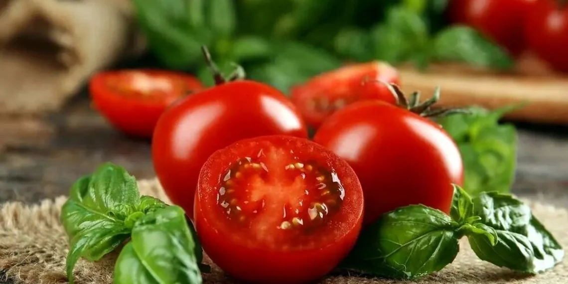گوجه فرنگی؛سپر طبیعی در برابر بیماری لثه