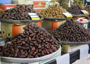 قیمت هرکیلو خرمای مضافتی بم به ۳۱۰ هزارتومان رسید