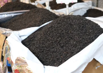 افزایش ۱۰ درصدی صادرات چای؛ رشد قیمت جهانی و تقویت جایگاه چای ایرانی