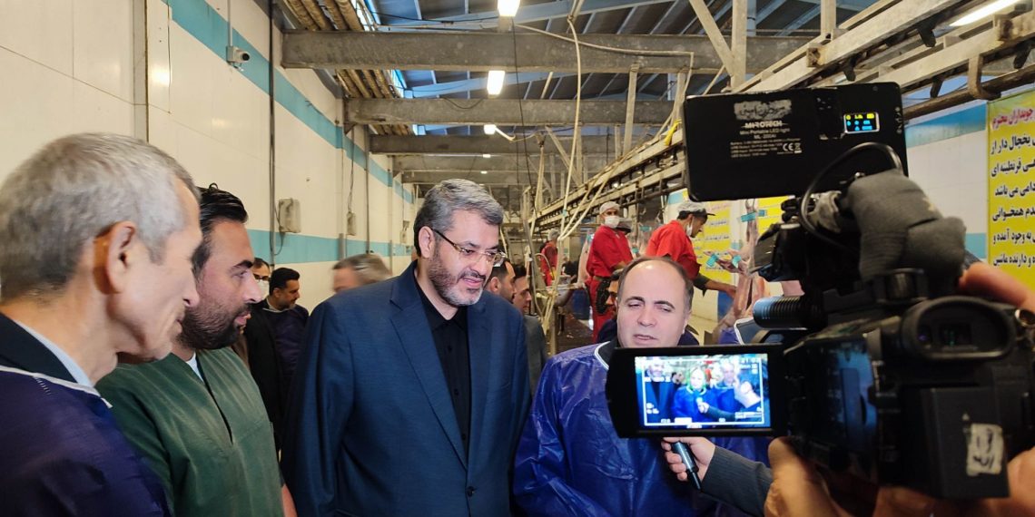 نگرانی در تأمین گوشت قرمز نداریم