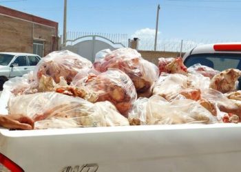 کشف و ضبط بیش از ۱ تن فرآورده خام دامی غیربهداشتی در زاهدان