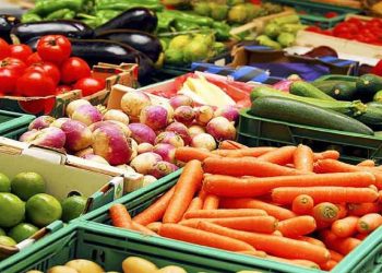 قیمت میوه و صیفی نوسانی ندارد